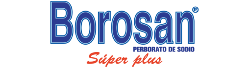 Borosan Logo