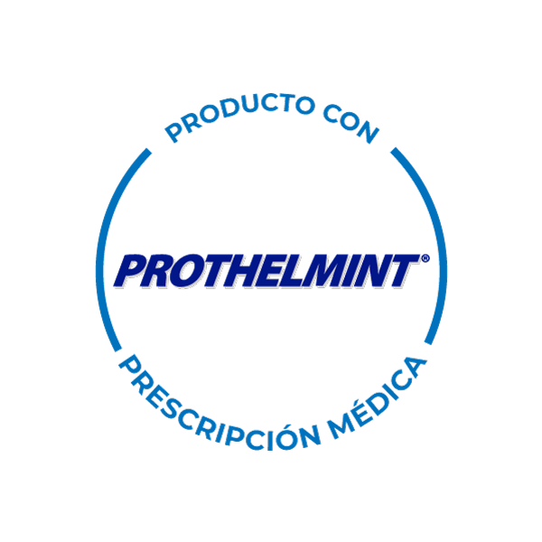 Prothelmint
